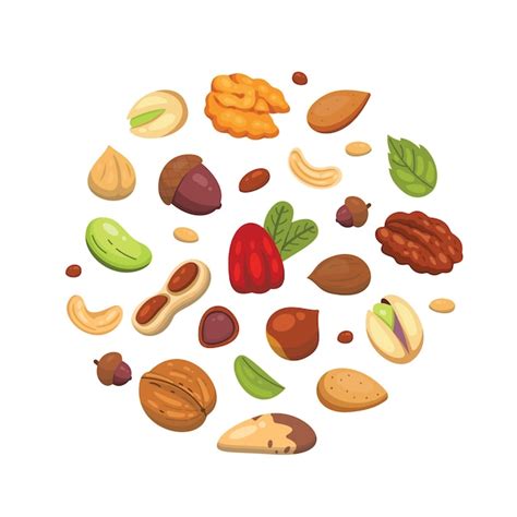 Premium Vector Set Icons Nuts In Cartoon Nut Food Collection