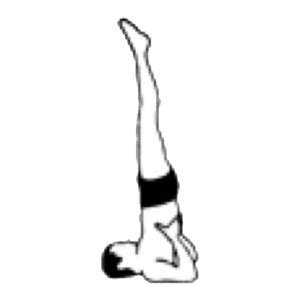 A front split is one of those moves that is really easy for some people and much harder for others. 13+ Shoulder Stand In Gymnastics | Yoga Poses