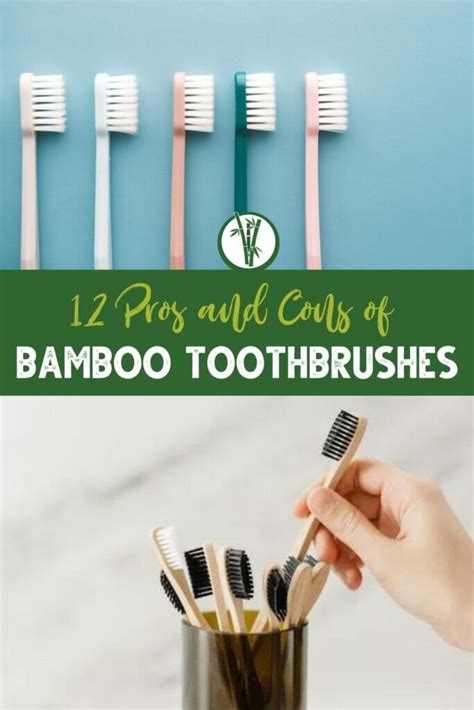 12 Pros And Cons Of Bamboo Toothbrushes Bamboo Plants Hq