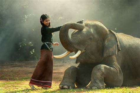 Girl Playing With Elephant Hd Wallpaper Wallpaper Flare