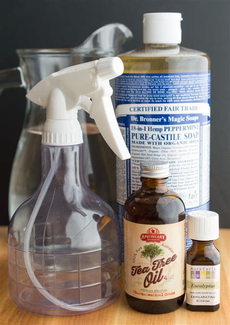 What to do about them? How To Make Ant Repellent Spray | Ant repellent, Ant spray ...