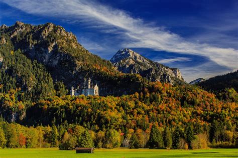 853799 4k 5k Castles Germany Forests Neuschwanstein Bavaria