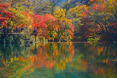 Autumn Lake Peoples Beauty Beautiful Tree Forest Nature