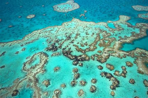 Get To Know Australias Great Barrier Reef Globetrotting With Goway