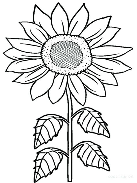 Sunflower Coloring Pages For Adults at GetColorings.com | Free