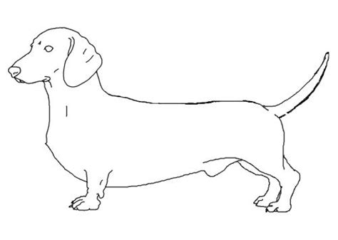 Push pack to pdf button and download pdf coloring book for free. Dachshund Pages Realistic Coloring Pages