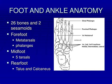 Ppt Foot And Ankle Complaints Powerpoint Presentation