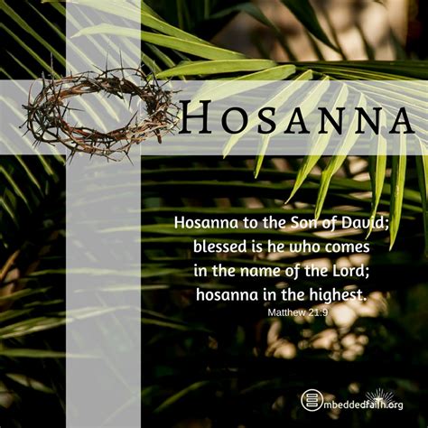Hosanna To The Son Of David Blessed Is The He Who Comes In The Name Of