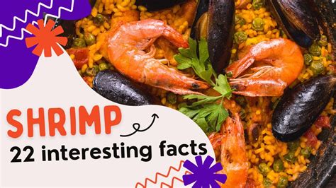 22 Interesting Facts About Shrimp Knowledge Nest YouTube