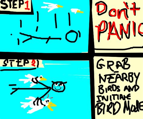 Step By Step Guide To Survive A Fatal Fall Drawception