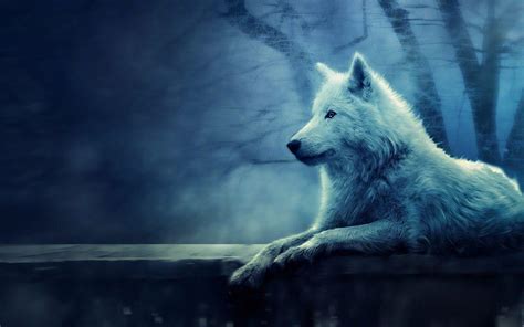 Multiple sizes available for all screen sizes. Lone Wolf Wallpapers - Wallpaper Cave
