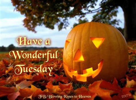 Have A Wonderful Tuesday Pumpkin Carving Halloween Pumpkins Carvings