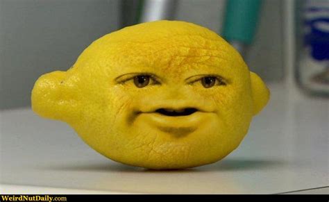 Funny Pictures Weirdnutdaily Lemonhead