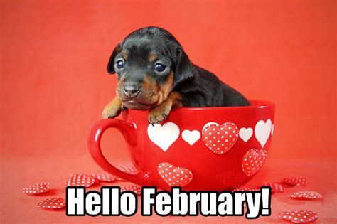 Can You Believe February Is Here What Are You Excited For This