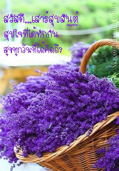 They have such a power to brighten our day and the day of our friends when we stumble upon them while scrolling our news sharing a pic helps us create more inspirational images for a fresh morning start! Suvarna Tunnoo | ดอกไม้สีม่วง, ดอกไม้, ใบไม้