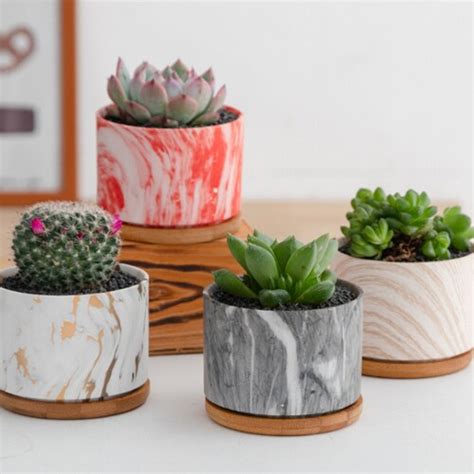 Succulent Plant Pots With Bamboo Tray 3 Inch Mandalas Pattern Etsy