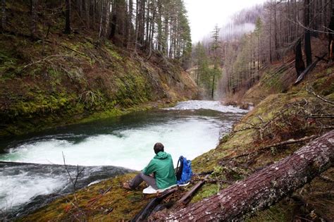 Hikers Return To Eagle Creek Trail As One Of Oregons Best Hikes