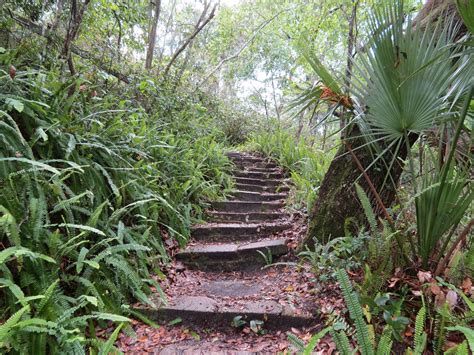 8 Amazing Florida Hikes That Are Under 5 Miles