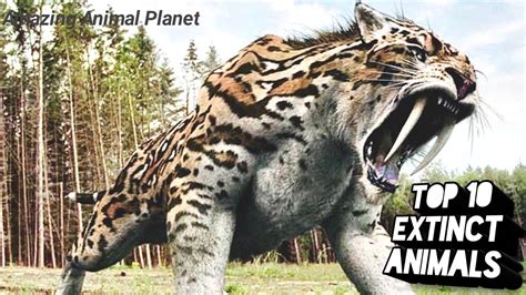 10 Extinct Animals That May Still Be Alive Doovi Images And Photos Finder