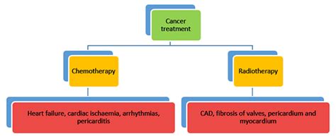 Cardio Oncology Cardiac Care Of Cancer Patients Healthcare Articles