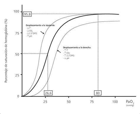 Curva De Disociación De La Hemoglobina Download Scientific Diagram