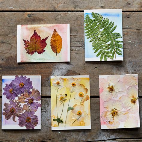 Floral Arranging Flowers Dried Pressed Flowers Home And Hobby Pe