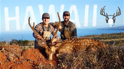 Lanai Axis Deer And Urban Hawaii Pig Hunting Ep7 Youtube