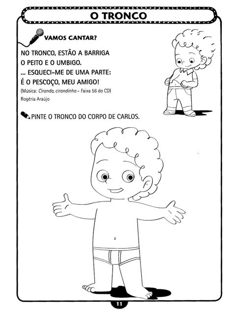 Plano De Aula Partes Do Corpo Humano Educação Infantil Bncc