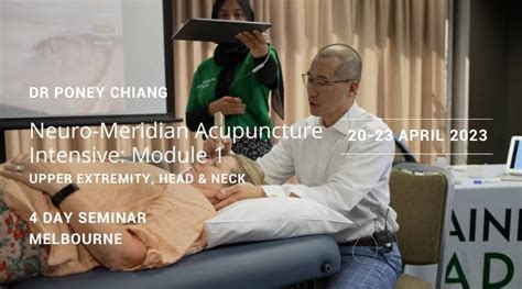 Neuro Meridian Acupuncture Intensive Module 1 Upper Extremity Head