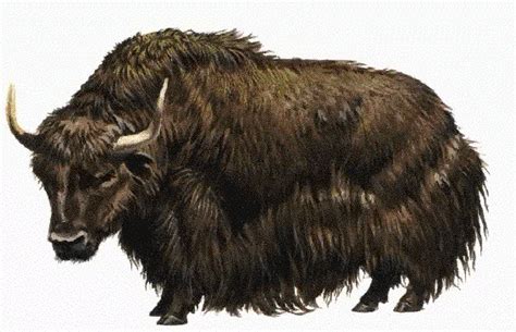 Yak's FAQs on Scripting - AlliedModders