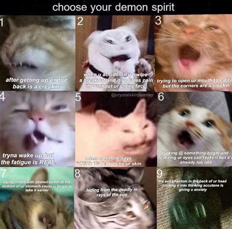 Which One Are You Meme Made At 3am Raccutane