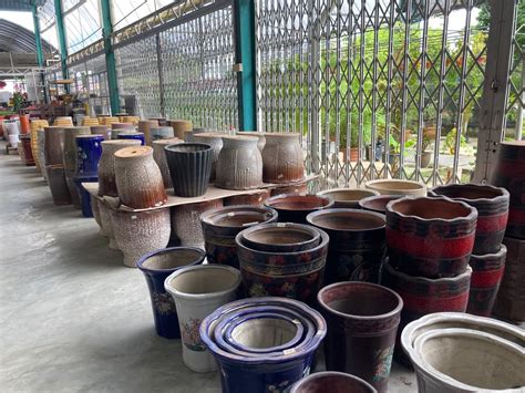 142,946 likes · 25 talking about this. Kedai Pokok Bunga Murah di Banting, Selangor - Azwar Syuhada