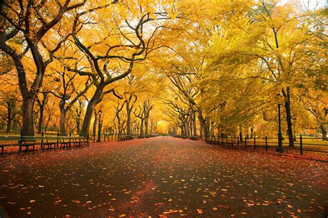 The Breathtaking Beauty Of Autumn Fall Landscapes Captured In These 12