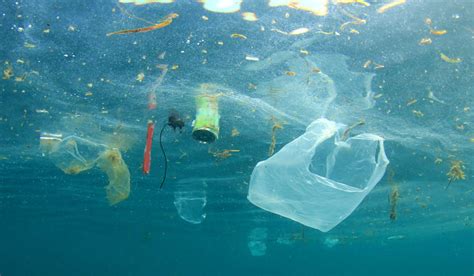Plastic Pollutes The Oceans Larval Fish Superhighways Study The Week