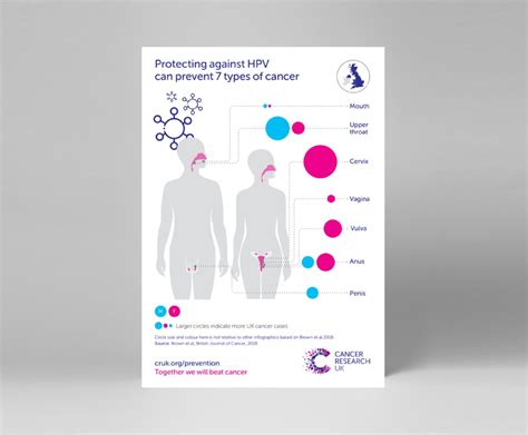Hpv And Cancer Types Infographic Publications