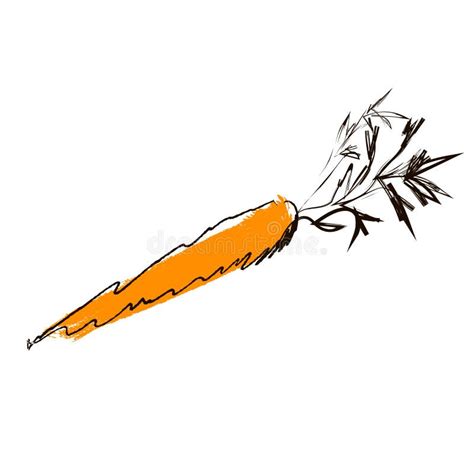 Vector Illustration A Carrot Hand Draw Style Isolated On White Stock