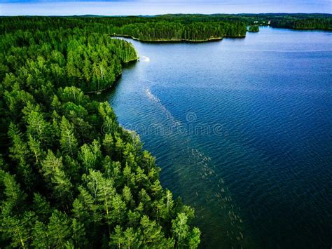 Aerial View Of Blue Lake And Green Forest In Finland Stock Image