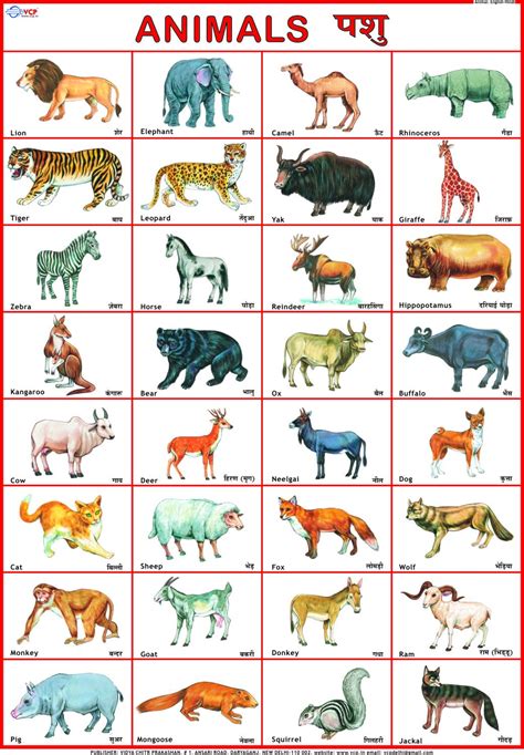 Water Animals Names In Hindi | www.galleryhip.com - The Hippest Pics