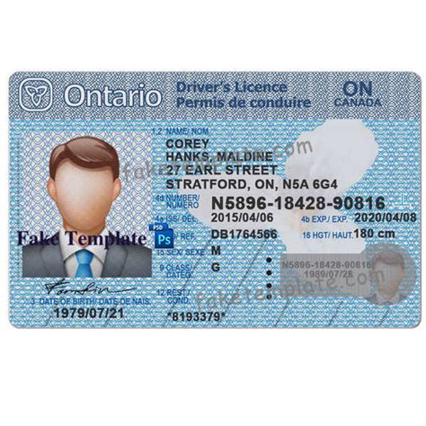 Ontario Drivers License Template Free Printable Online