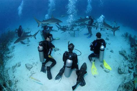 Scuba2 Tank Shark Dive Nassau Bahamas Caribbean