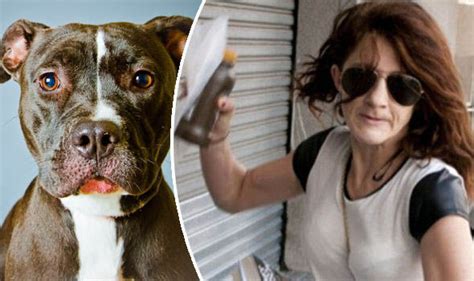 ‘repulsive Woman Faces Jail After Admitting Having Sex With Dog