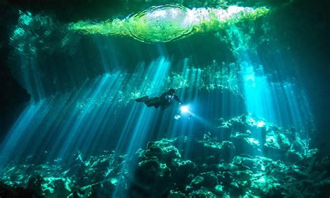 Cenotes The Underwater Caves Of The Riviera Maya Mexico Aquaviews