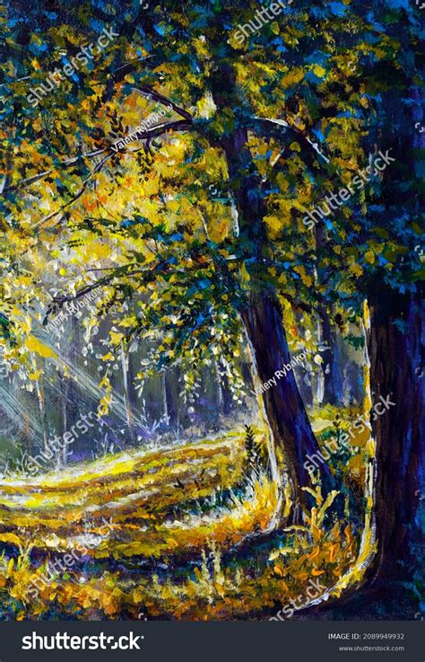 Oil Painting Forest Landscape Beautiful Solar Stock Illustration