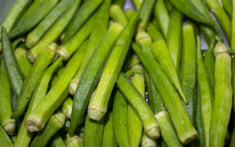 Organic Okra Or Ladies Finger Vegetable Green Fresh Stock Photo Image