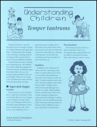 Temper Tantrums Understanding Children Temper Tantrums Tantrums