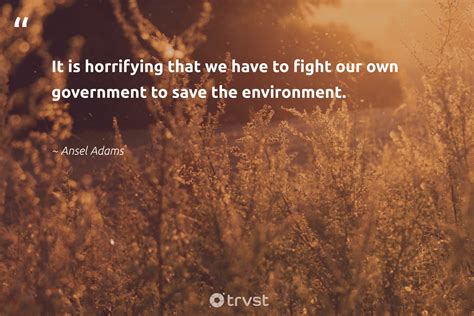 100 Environment Quotes To Inspire Environmental Conservation 2023