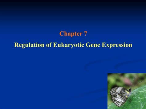 Gene Regulation Of Eukaryotes