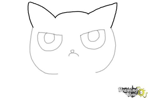 How To Draw A Grumpy Cat Drawingnow