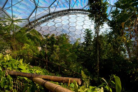 What Is The Eden Project How To Visit Englands Tropical Rainforest In