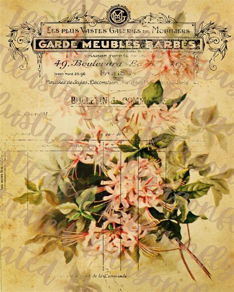 Vintage French Floral Botanical Ephemera Printable Digital Download